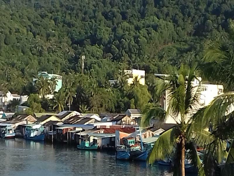 دونغ دونغ Phuong Dung Guesthouse المظهر الخارجي الصورة