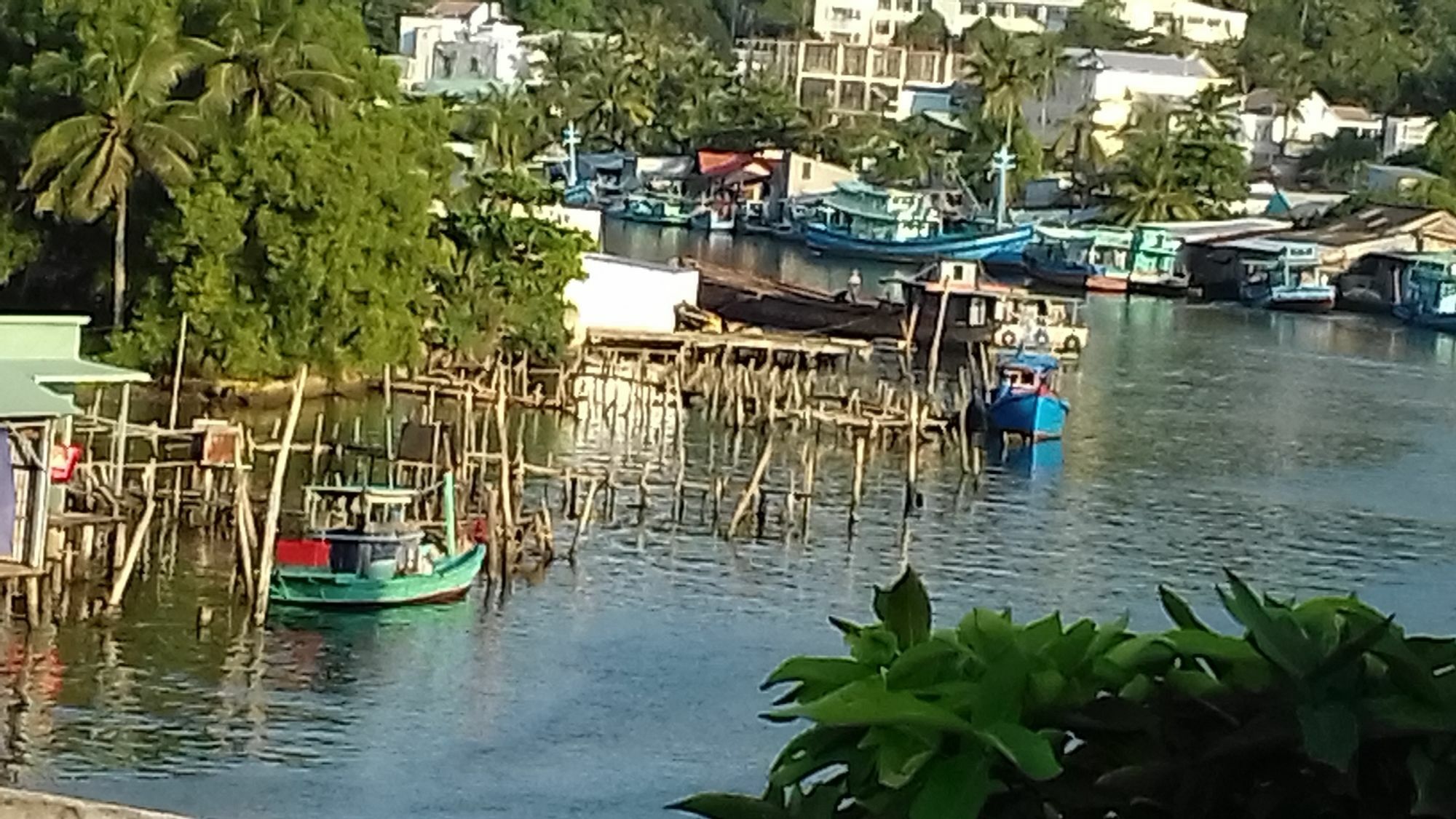 دونغ دونغ Phuong Dung Guesthouse المظهر الخارجي الصورة